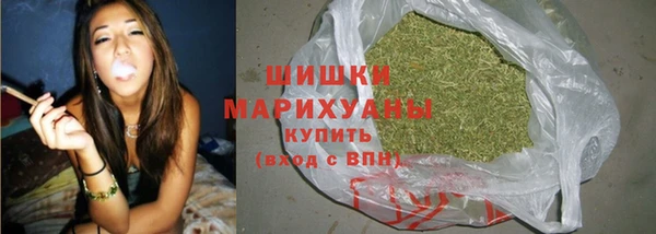 молекула духа Заволжье