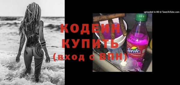 стафф Заводоуковск