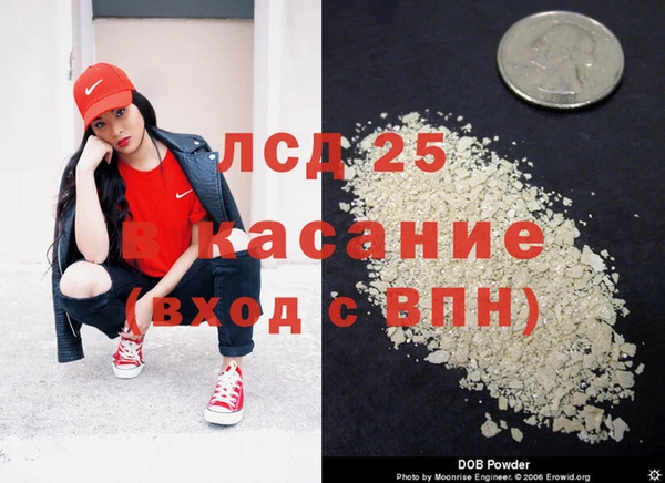 стафф Заводоуковск