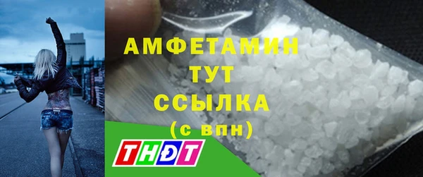 молекула духа Заволжье