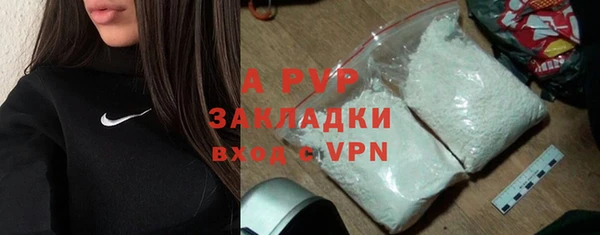 стафф Заводоуковск