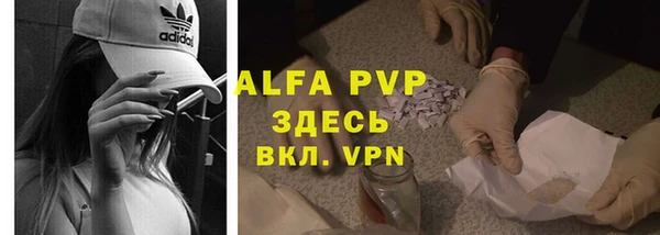 молекула духа Заволжье