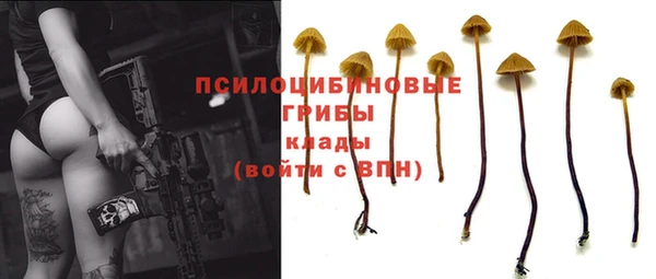 хмурый Заволжск