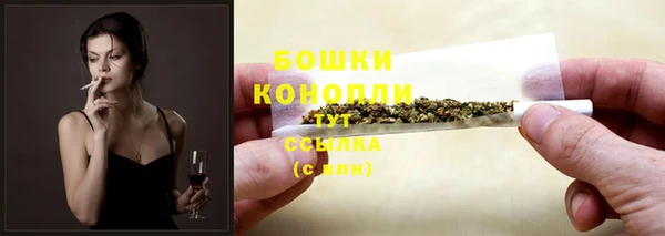 молекула духа Заволжье