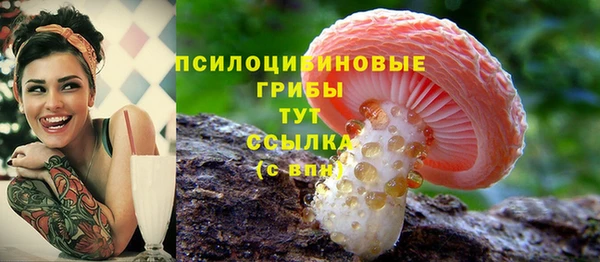 молекула духа Заволжье
