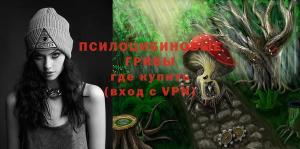 стафф Заводоуковск