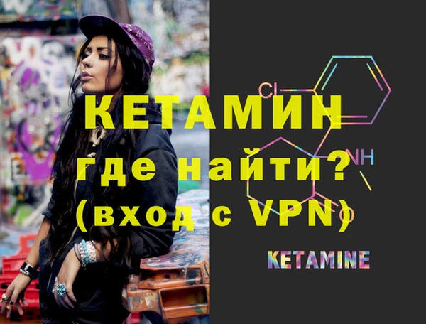 стафф Заводоуковск
