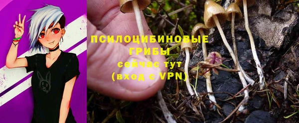 хмурый Заволжск