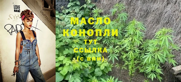 молекула духа Заволжье
